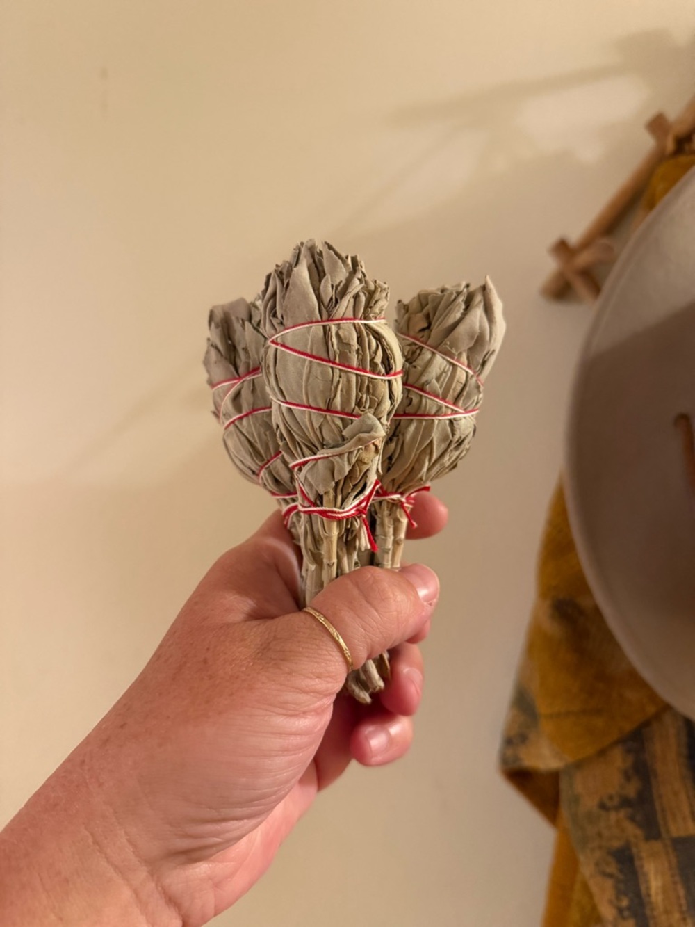Sage bundle - Picture 3 of 3